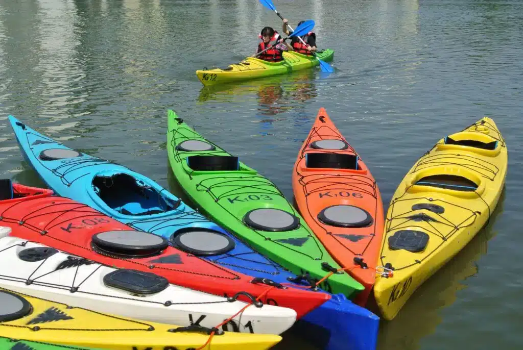 Types of Kayaks x Types of Kayaks x