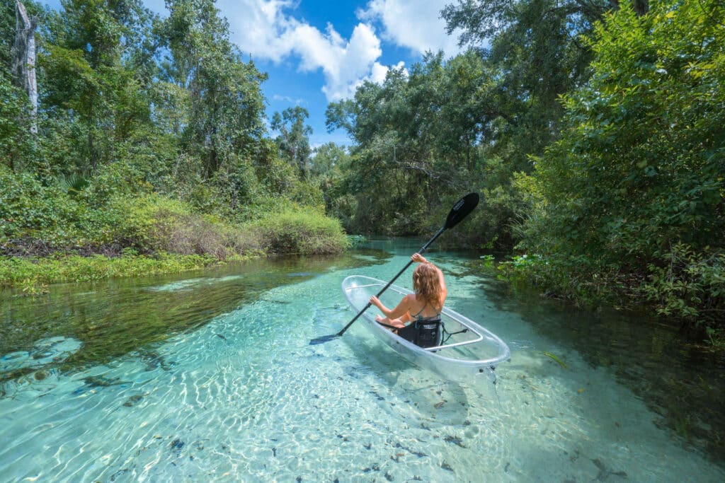 A woman paddling kayak in a sea in the middle of a forest