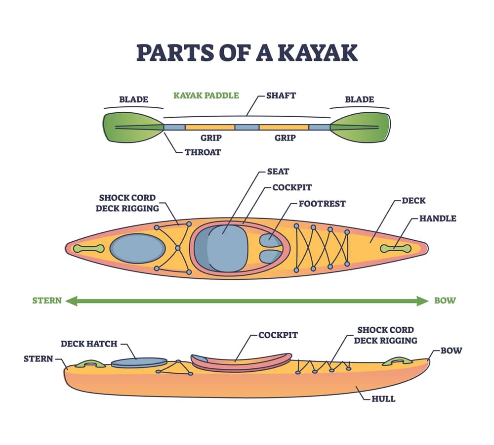 Kayak Paddle Size Chart: Choose the Right Length and Style