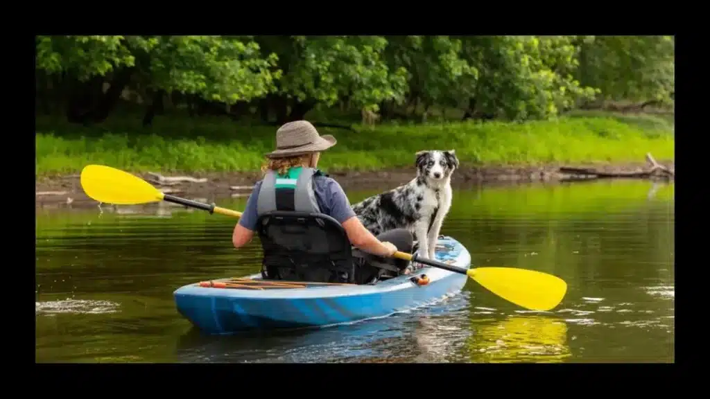 a kayaker kayaking in water with a dog standing on a kayak