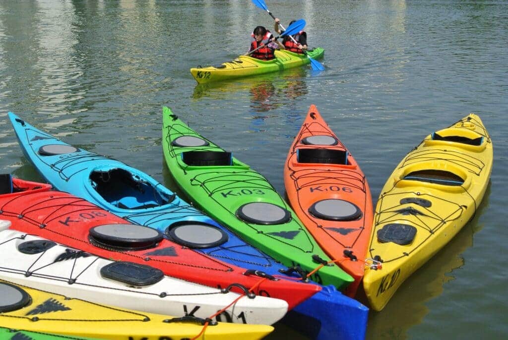 different yypes of kayaks standing in water