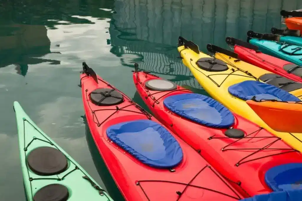 half bodty image of a different kayaks