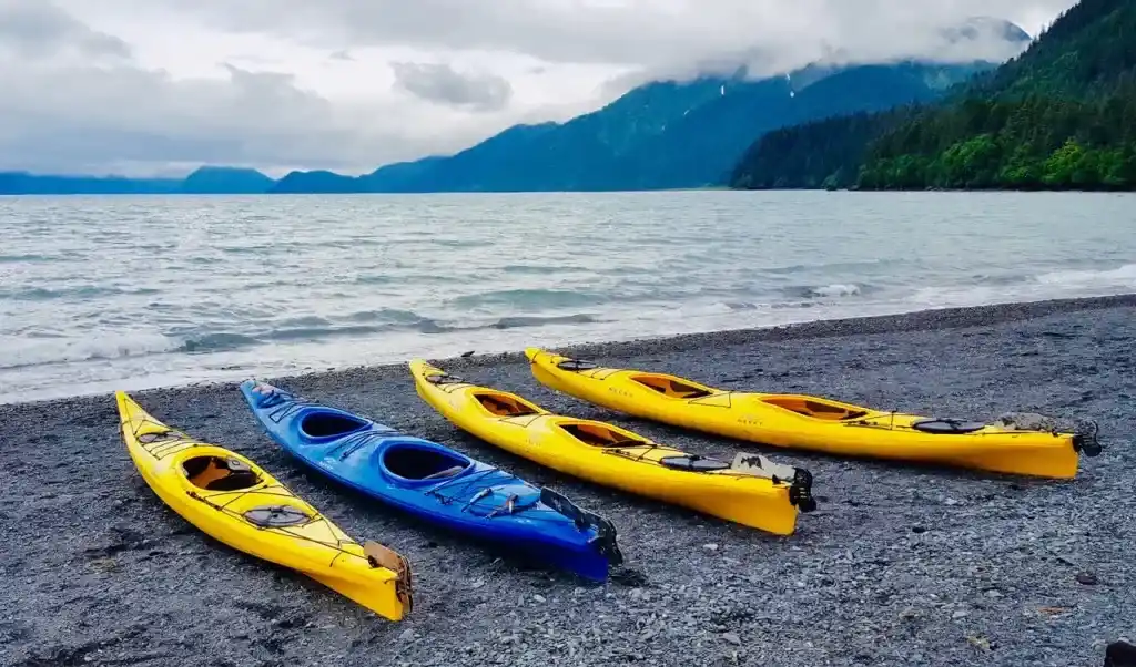 kayaks standing on sand at the side of beach