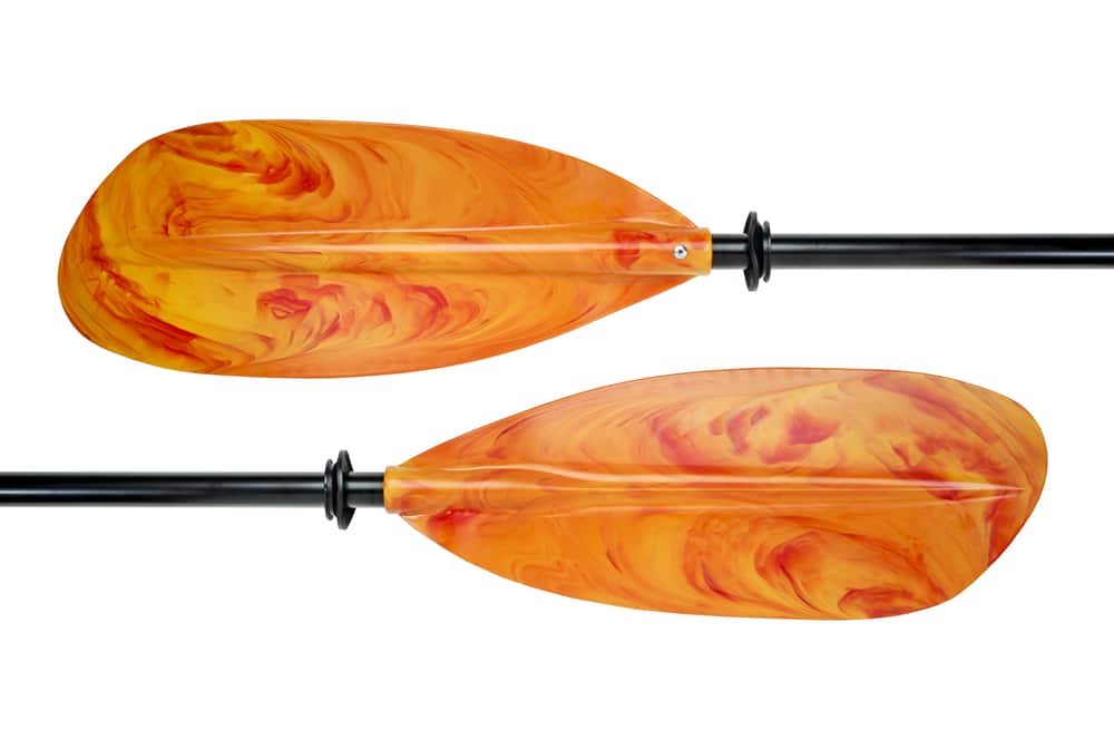 Two Blades Of Colorful Take a part Kayak Paddle With Scrambled Eggs