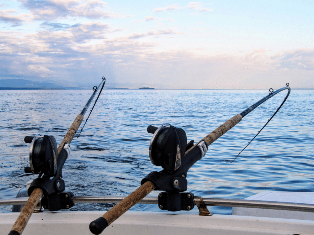 Two fishing rods held in fishing rod holders attached to a back of a boat