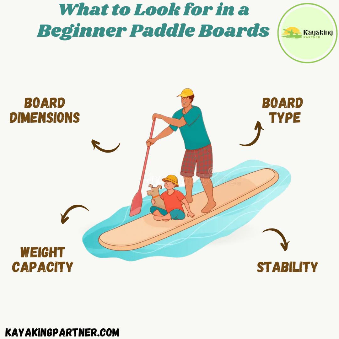 What to Look for in a Beginner Paddle Boards 